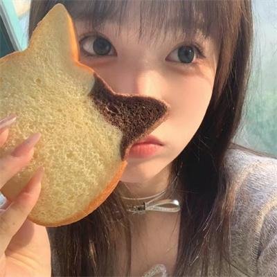 野猫